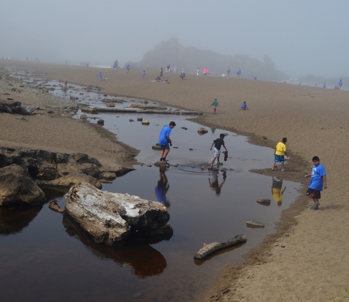 Fogarty Creek in Depoe Bay 